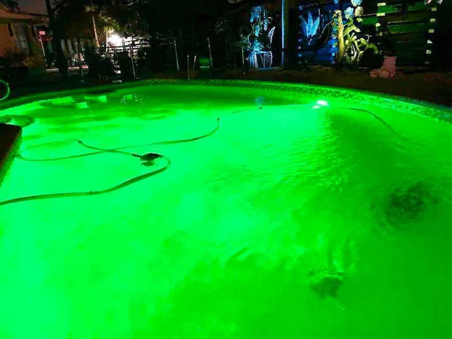 Jungle To Beach 4 R 3 Bedroom Family And Pet Heated Pool N Airport N Beach N Hard Rock Fort Lauderdale Exterior foto