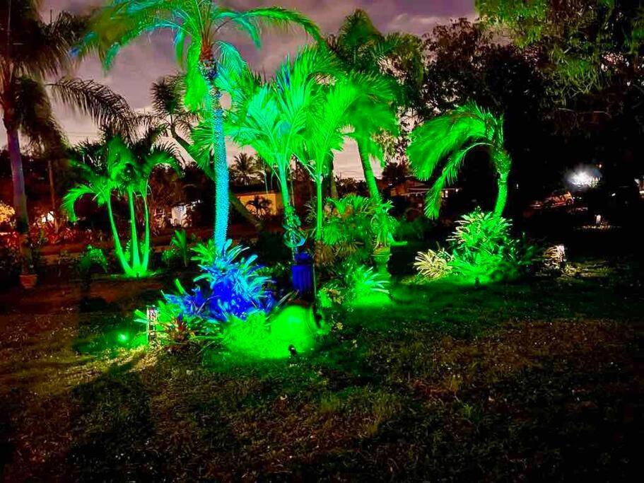 Jungle To Beach 4 R 3 Bedroom Family And Pet Heated Pool N Airport N Beach N Hard Rock Fort Lauderdale Exterior foto
